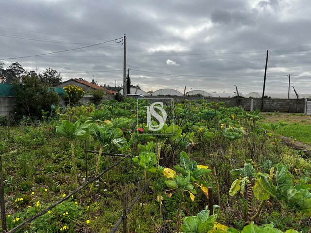 Terreno Rstico T0 - Esposende, Esposende, Braga - Imagem grande