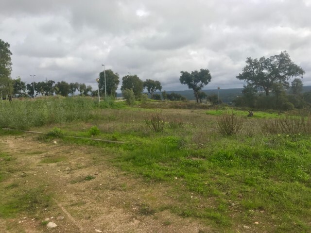 Terreno Urbano - So Miguel do Rio Torto, Abrantes, Santarm - Imagem grande