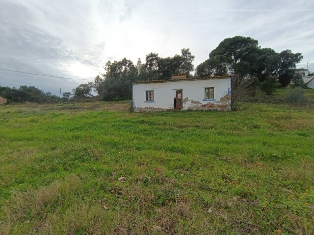 Terreno Rstico - Bemposta, Abrantes, Santarm - Imagem grande