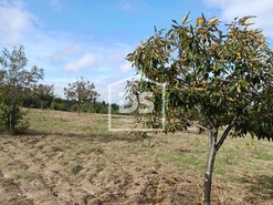 Quinta T0 - Lajeosa do Mondego, Celorico da Beira, Guarda - Miniatura: 12/24