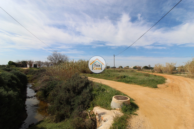 Terreno Rstico - Pecho, Olho, Faro (Algarve) - Imagem grande