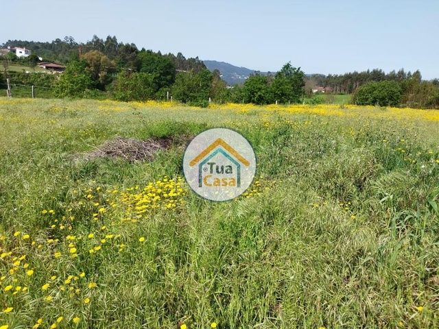 Terreno Rstico - Sequeade e Bastuo, Barcelos, Braga - Imagem grande