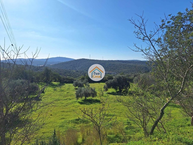 Terreno Rstico - So Brs de Alportel, So Brs de Alportel, Faro (Algarve) - Imagem grande