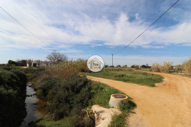 Terreno Rstico - Pecho, Olho, Faro (Algarve)