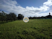 Terreno Rstico - Boliqueime, Loul, Faro (Algarve) - Miniatura: 5/9