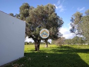 Terreno Rstico - Boliqueime, Loul, Faro (Algarve) - Miniatura: 8/9