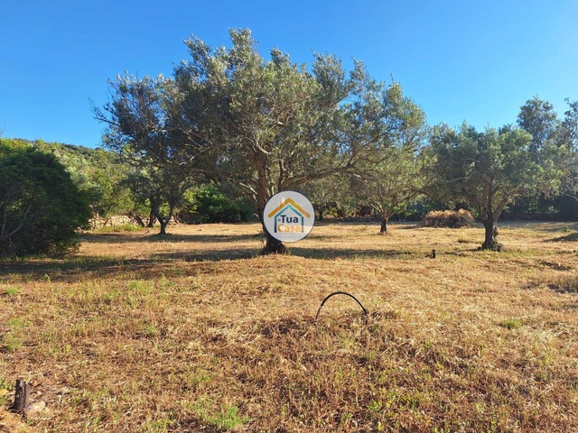 Terreno Rstico - So Clemente, Loul, Faro (Algarve) - Imagem grande