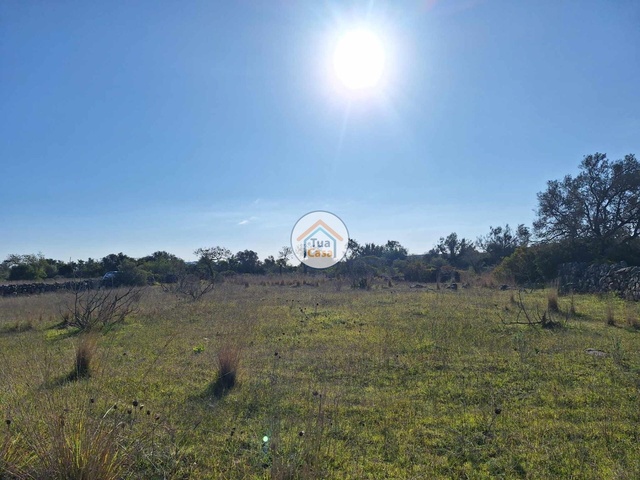 Terreno Rstico - Santa Catarina, Tavira, Faro (Algarve) - Imagem grande