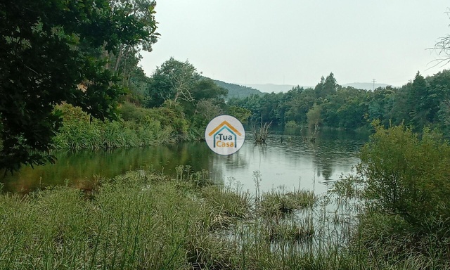 Terreno Rstico - Oliveira do Mondego, Penacova, Coimbra - Imagem grande