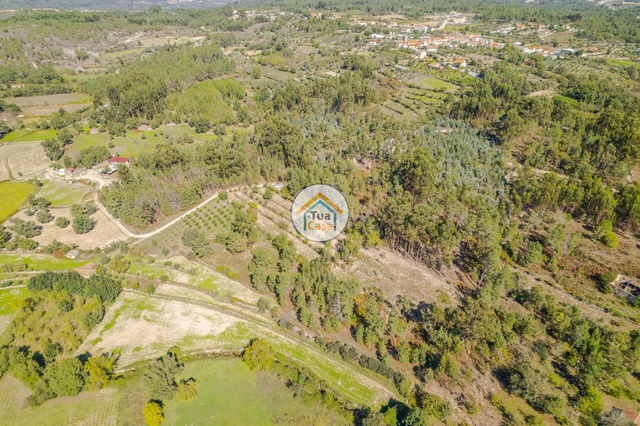 Terreno Rstico - TAVARES, Mangualde, Viseu - Imagem grande