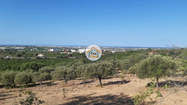 Terreno Rstico - Faro, Faro, Faro (Algarve) - Imagem grande