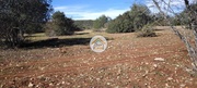 Terreno Rstico - So Brs de Alportel, So Brs de Alportel, Faro (Algarve) - Miniatura: 9/9