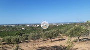 Terreno Rstico - Faro, Faro, Faro (Algarve) - Miniatura: 1/9