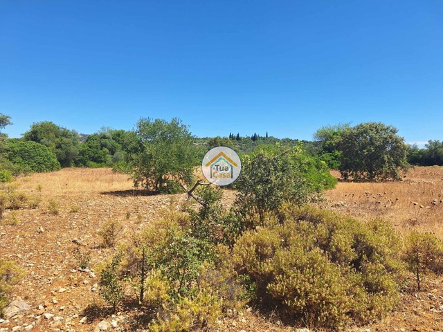 Terreno Rstico - So Brs de Alportel, So Brs de Alportel, Faro (Algarve) - Imagem grande