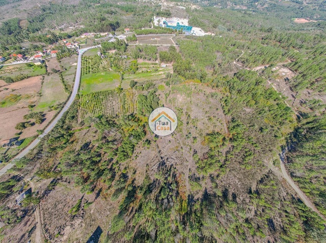 Terreno Rstico - TAVARES, Mangualde, Viseu - Imagem grande