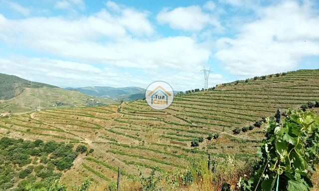 Terreno Rstico - Ervedosa do Douro, So Joo da Pesqueira, Viseu - Imagem grande