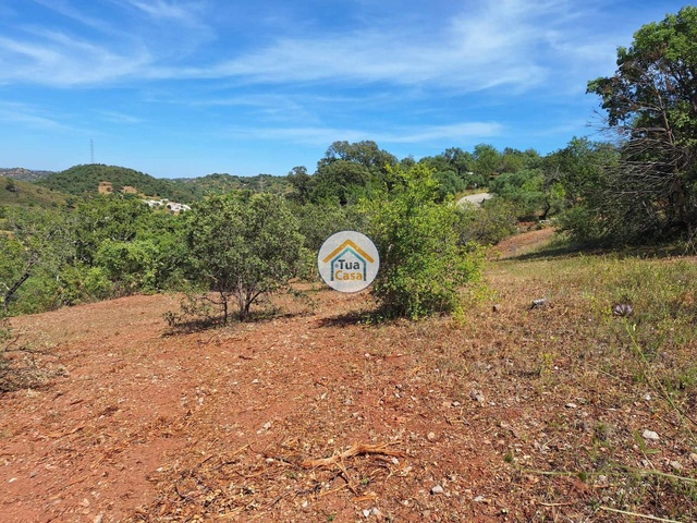 Terreno Rstico - So Brs de Alportel, So Brs de Alportel, Faro (Algarve) - Imagem grande