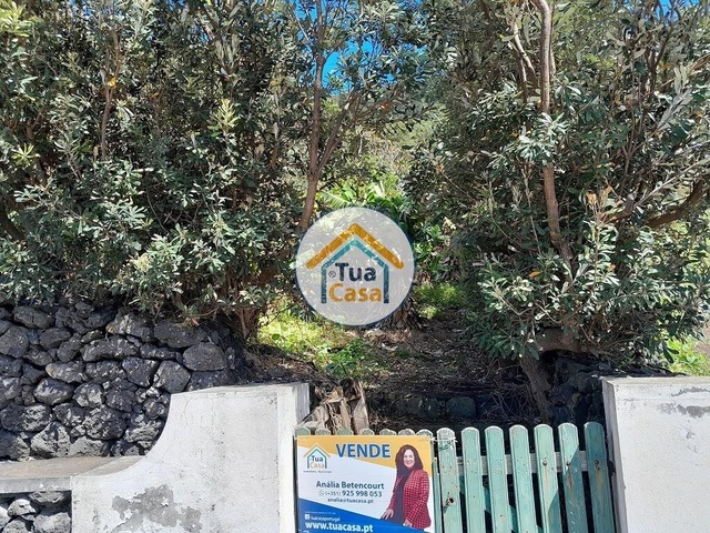 Terreno Rstico - Calheta (Madeira), Calheta (Madeira), Ilha da Madeira - Imagem grande