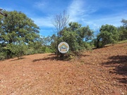 Terreno Rstico - So Brs de Alportel, So Brs de Alportel, Faro (Algarve) - Miniatura: 3/9