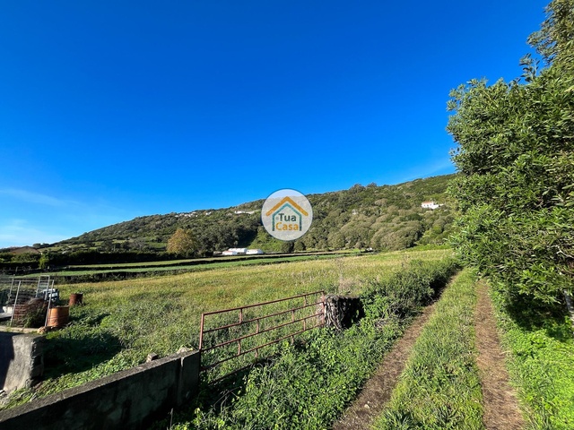 Terreno Rstico - Santo Amaro, Velas, Ilha de S. Jorge - Imagem grande