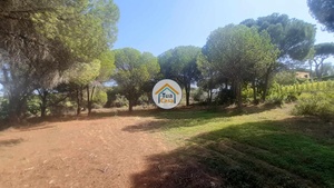 Terreno Rstico - Quarteira, Loul, Faro (Algarve)