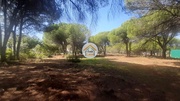 Terreno Rstico - Quarteira, Loul, Faro (Algarve) - Miniatura: 9/9