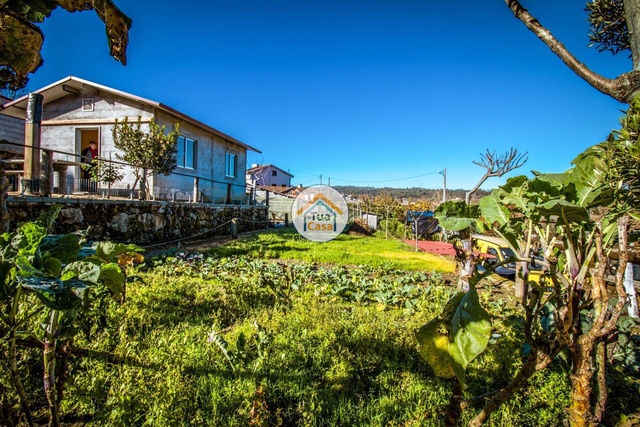 Terreno Rstico - Couto de Baixo, Viseu, Viseu - Imagem grande