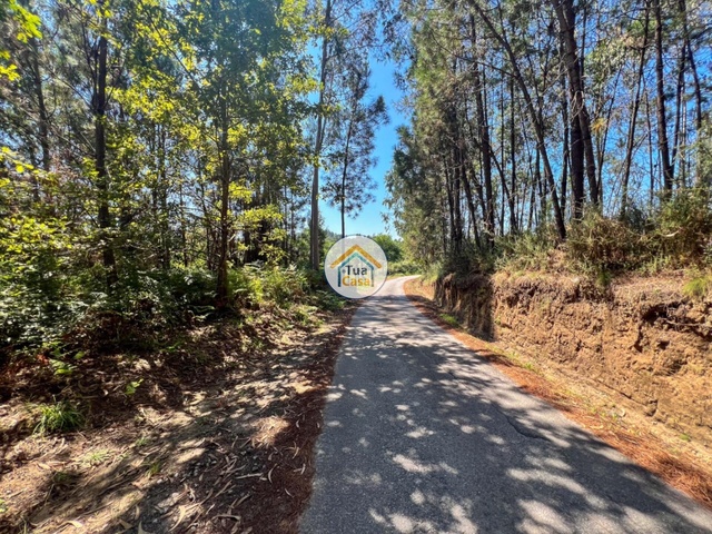 Terreno Rstico - Sabariz, Vila Verde, Braga - Imagem grande