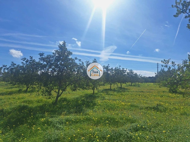 Terreno Rstico - Faro, Faro, Faro (Algarve) - Imagem grande