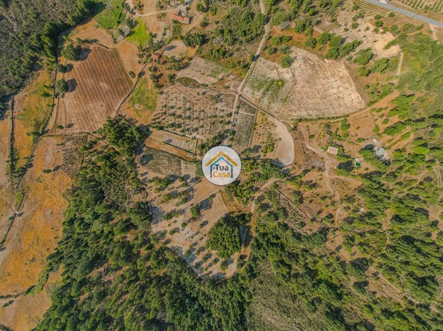 Terreno Rstico - Ferreirim, Sernancelhe, Viseu - Imagem grande