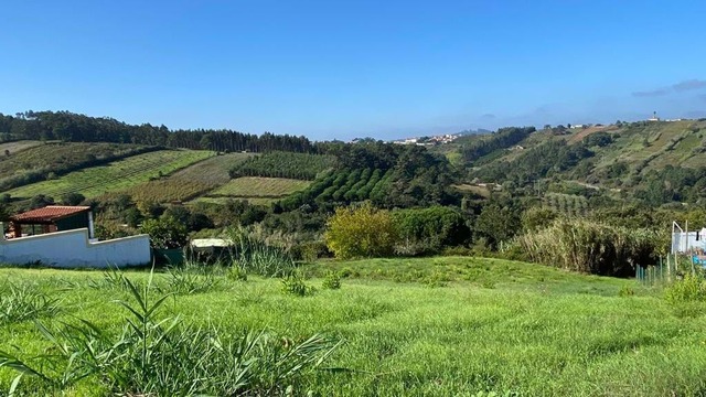 Terreno Rstico T0 - A dos Negros, bidos, Leiria - Imagem grande