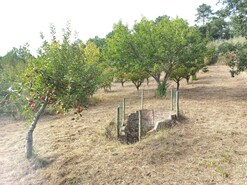 Terreno Rstico T0 - Salir de Matos, Caldas da Rainha, Leiria - Miniatura: 1/19