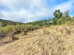 Terreno Rstico T0 - Salir de Matos, Caldas da Rainha, Leiria - Miniatura: 7/19