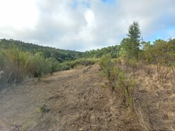 Terreno Rstico T0 - Salir de Matos, Caldas da Rainha, Leiria - Miniatura: 14/19