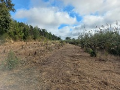 Terreno Rstico T0 - Salir de Matos, Caldas da Rainha, Leiria - Miniatura: 16/19