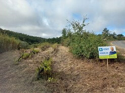 Terreno Rstico T0 - Salir de Matos, Caldas da Rainha, Leiria - Miniatura: 18/19