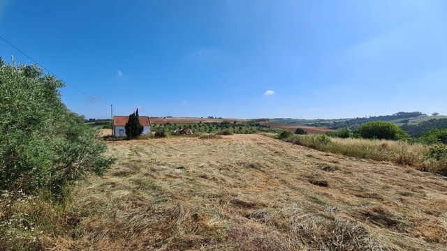 Terreno Rstico T0 - Carvalhal, Bombarral, Leiria - Imagem grande