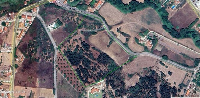 Terreno Rstico T0 - Pontvel, Cartaxo, Santarm - Imagem grande