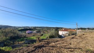 Terreno Rstico T0 - Santa Maria, bidos, Leiria