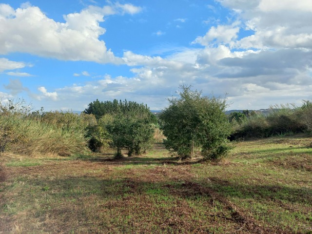 Terreno Rstico T0 - Alfeizero, Alcobaa, Leiria - Imagem grande