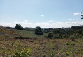 Terreno Rstico T0 - Alvorninha, Caldas da Rainha, Leiria - Miniatura: 1/10