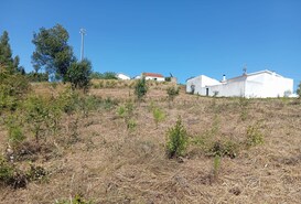 Terreno Rstico T0 - Alvorninha, Caldas da Rainha, Leiria - Miniatura: 7/10