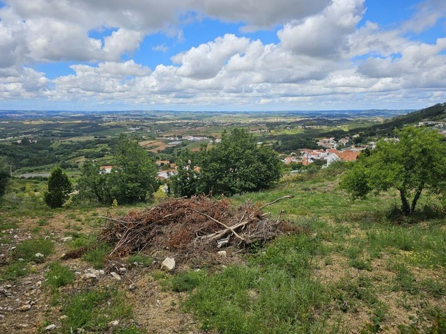 Terreno Rstico T0 - Lamas, Cadaval, Lisboa - Imagem grande