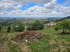 Terreno Rstico T0 - Lamas, Cadaval, Lisboa