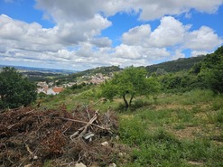 Terreno Rstico T0 - Lamas, Cadaval, Lisboa - Miniatura: 7/30