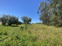 Terreno Rstico T0 - Outeiro da Cortiada, Rio Maior, Santarm - Miniatura: 9/15