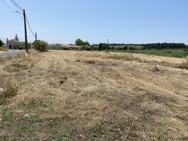 Terreno Rstico T0 - Caldas da Rainha, Caldas da Rainha, Leiria - Imagem grande