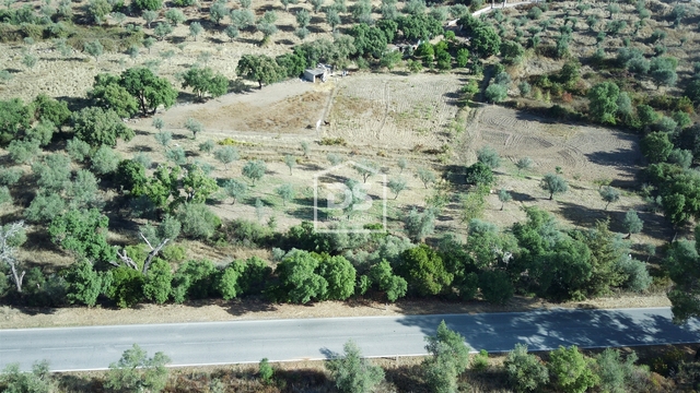 Terreno Rstico T0 - Monforte da Beira, Castelo Branco, Castelo Branco - Imagem grande