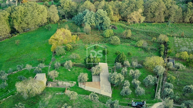 Terreno Rstico T0 - Lourial do Campo, Castelo Branco, Castelo Branco - Imagem grande