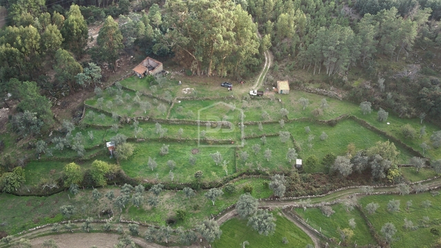 Terreno Rstico T0 - Lourial do Campo, Castelo Branco, Castelo Branco - Imagem grande